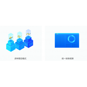 集团化公司落地财务管控5点价值